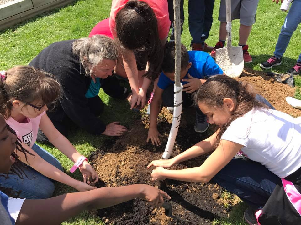Grandview Adventist Academy Christian School offering Junior Kindergarten to Grade Eight education to Hamilton ON, and area | 3975 ON 6, Mount Hope, ON L0R 1W0 | Grandview Adventist Academy 3975 ON 6, Mount Hope, ON L0R 1W0